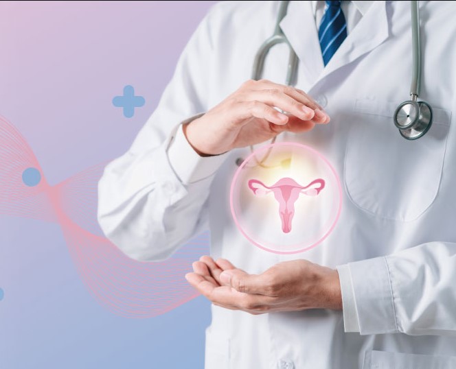 БЕСПЛАТНАЯ КОНСУЛЬТАЦИЯ ОПЕРИРУЮЩЕГО АКУШЕРА-ГИНЕКОЛОГА ПЕРЕД ОПЕРАТИВНЫМ ЛЕЧЕНИЕМ